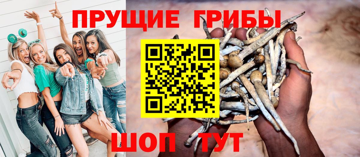 Бор  Галлюциногенные грибы мухоморы  Вход с VPN 
